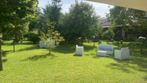 Hotels in Brattiro'